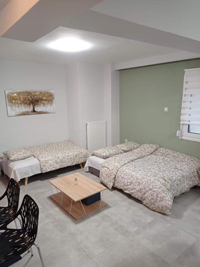 Central Home Tríkala Kültér fotó